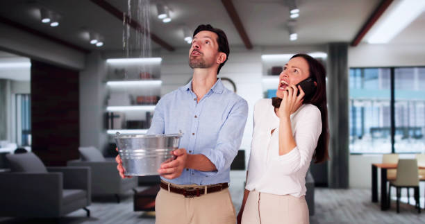 Best Water damage restoration near me  in Annapolis Neck, MD